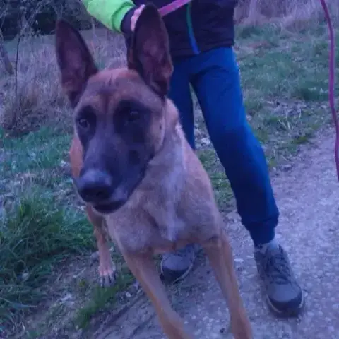 Tessy photo 3