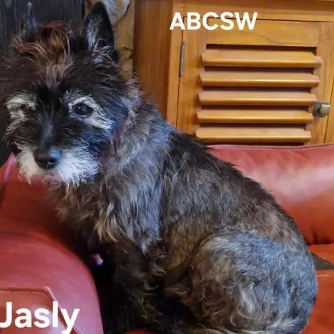 Jasly photo 2