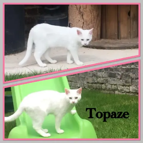 Topaze