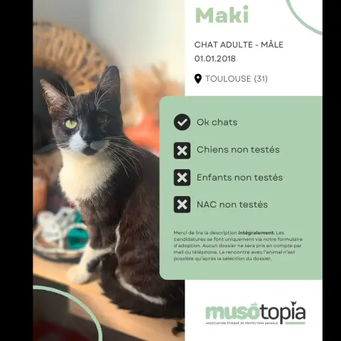 Maki