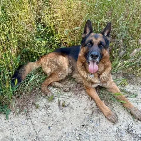Rex