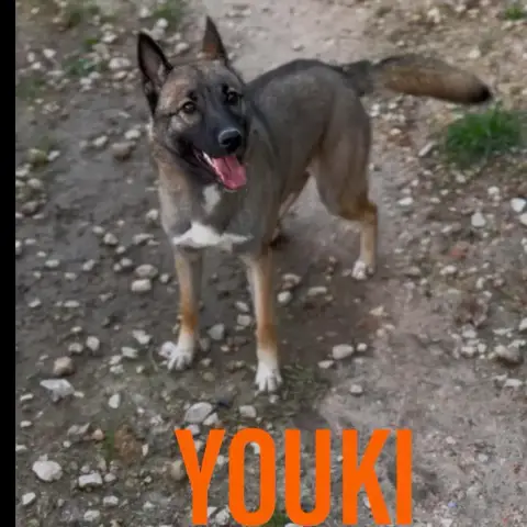 Youki