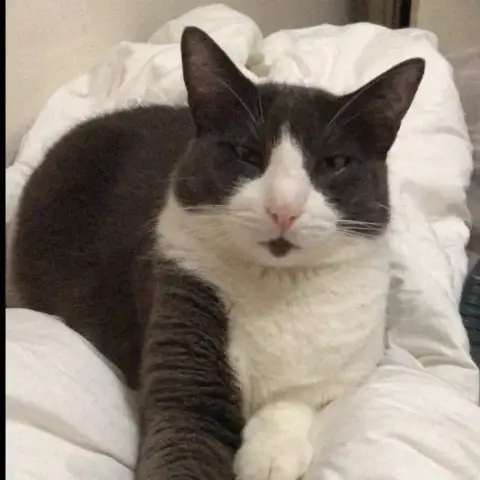 Tom