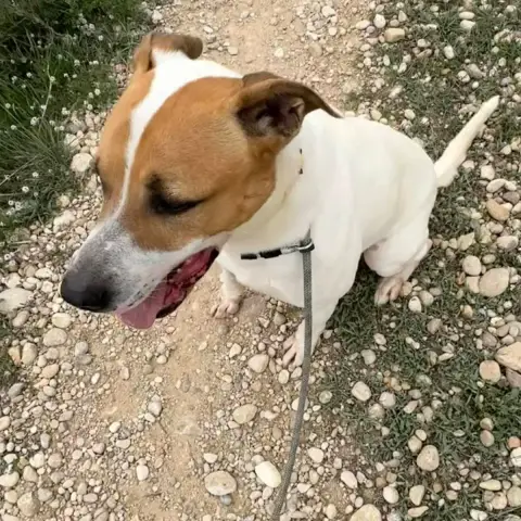 Zeus photo 2