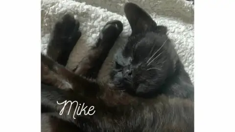 Mike