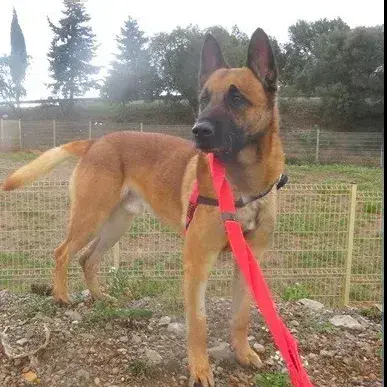 Jax photo 2