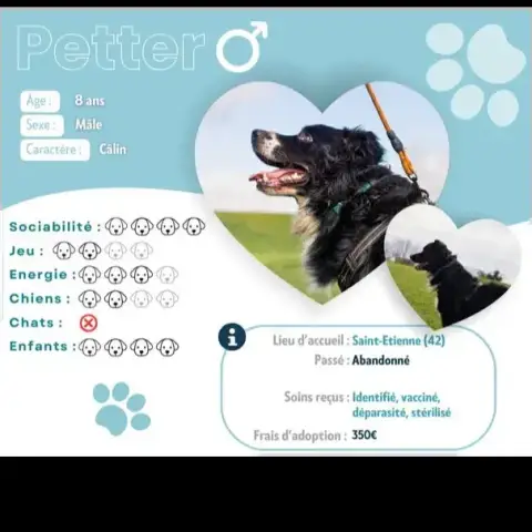 Petter