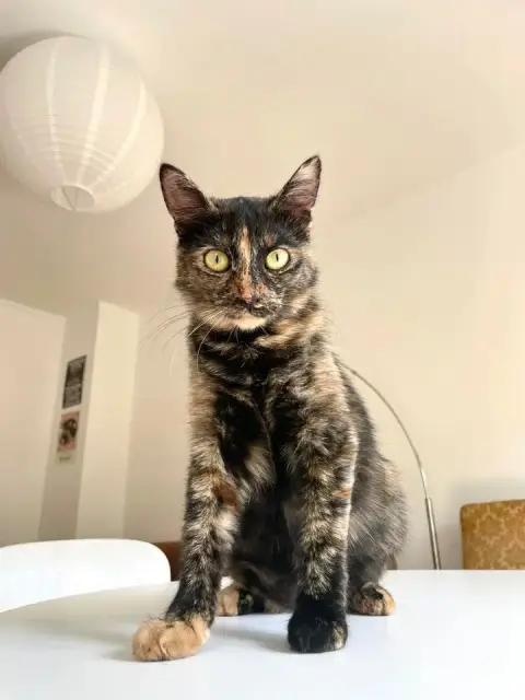 Mathilda