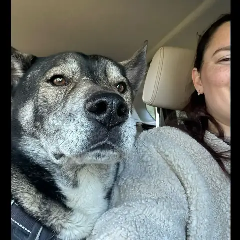 Pog photo 3