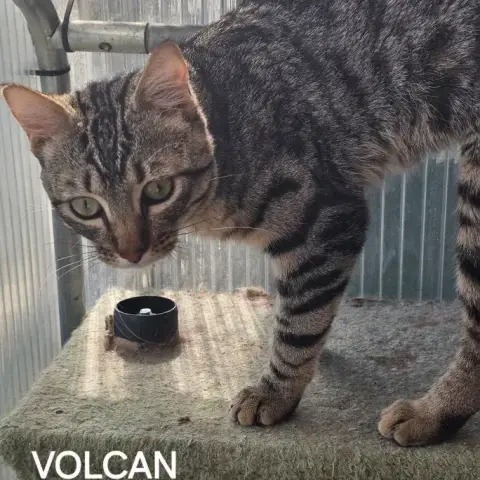 Volcan photo 2