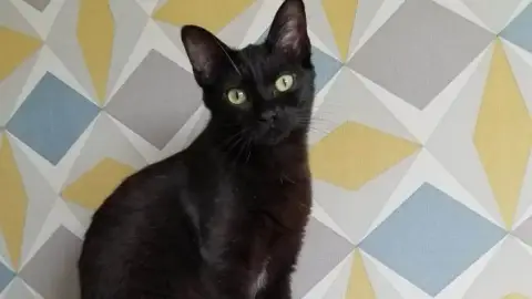 Tartatin