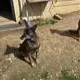 Win