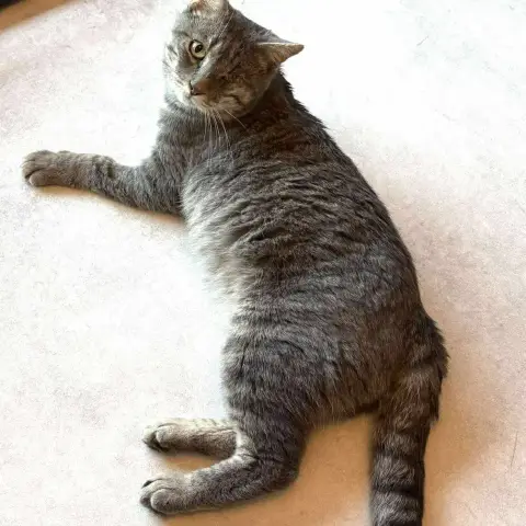 Pablo