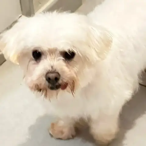 Rita