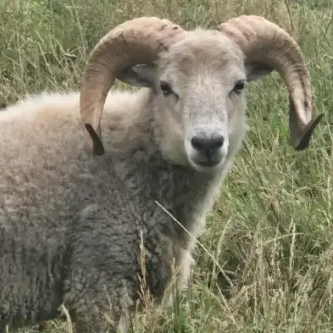 Ragnar photo 3