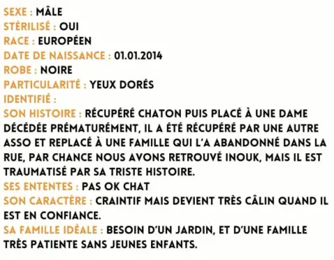 Inouk photo 2