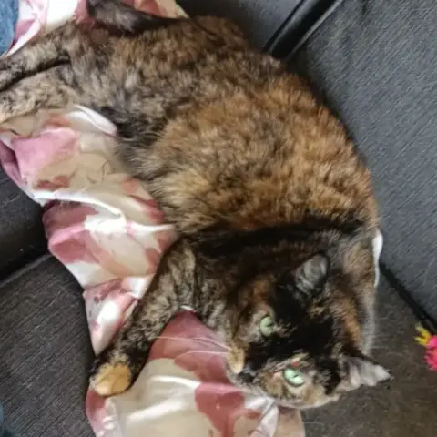 Freya photo 2