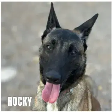 Rocky