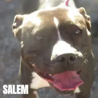 Salem