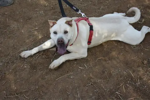 Fito photo 3