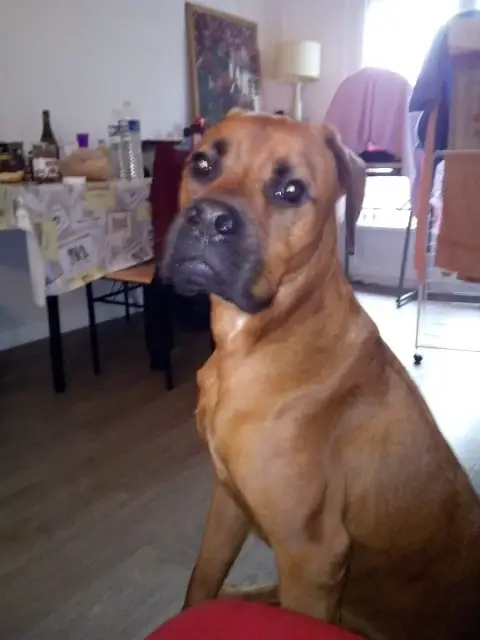 Melios photo 2