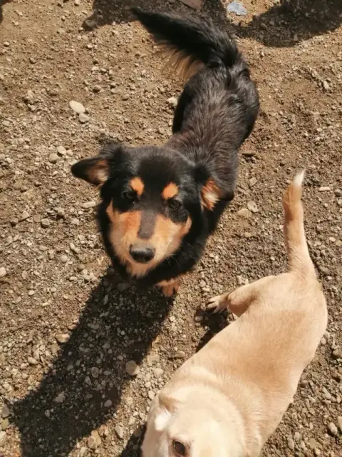 Colline photo 2