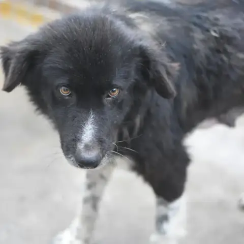 Jeanne photo 3