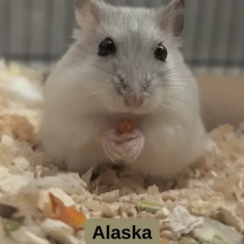 Dakota photo 3