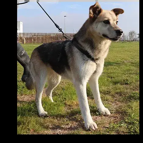 Rita 2 photo 3
