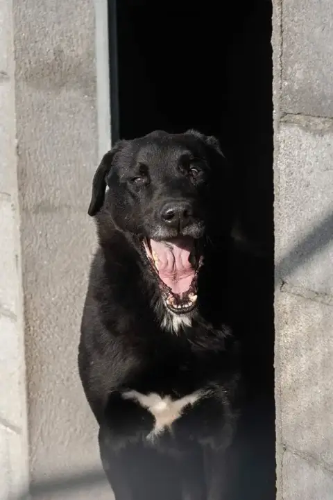 Cero photo 3
