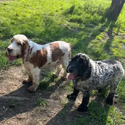 Lucky & Spot photo 3