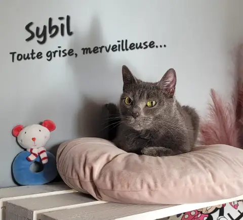 Sybil photo 3