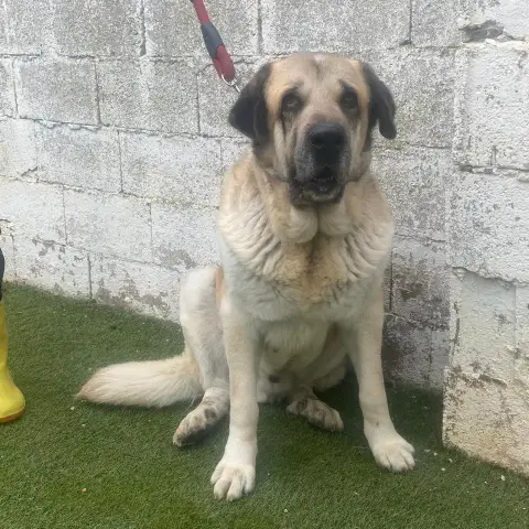 Zeus photo 3