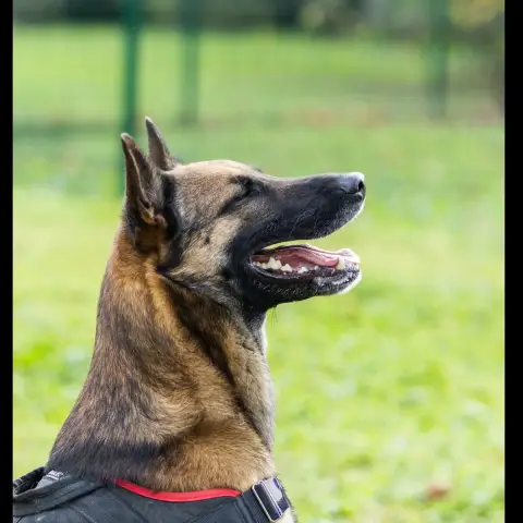 Carrasco photo 2