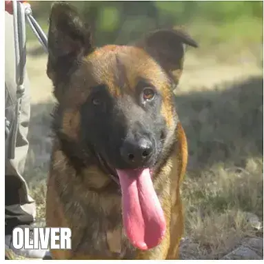 Oliver