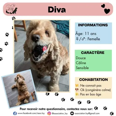 Diva