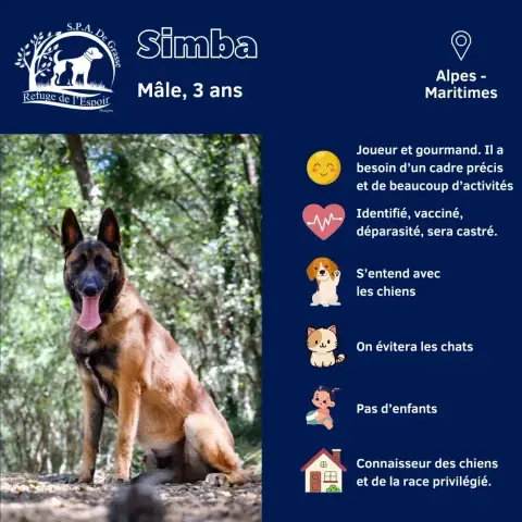 Simba
