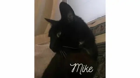 Mike photo 3