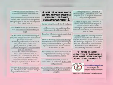 Jeunes Adultes photo 2