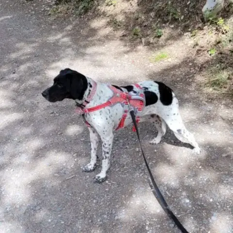 Nala photo 2