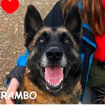 Rambo