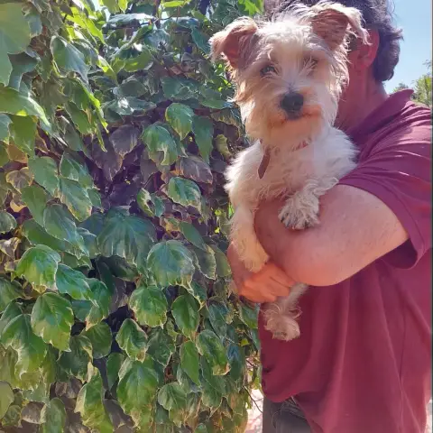 Rosco photo 3