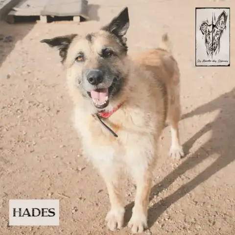 Hades photo 2