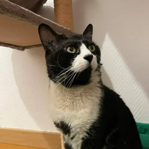 O'Malley photo 2