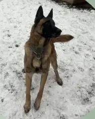 Kali photo 2
