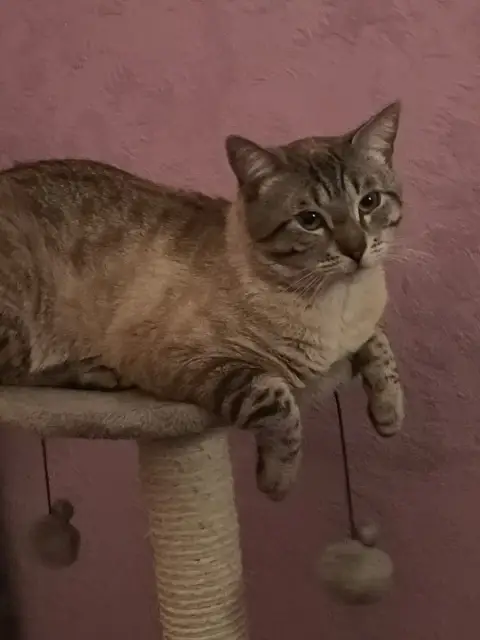 Oskar photo 2