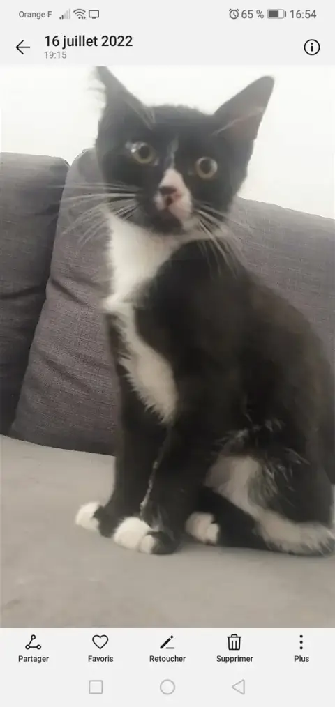 Mia