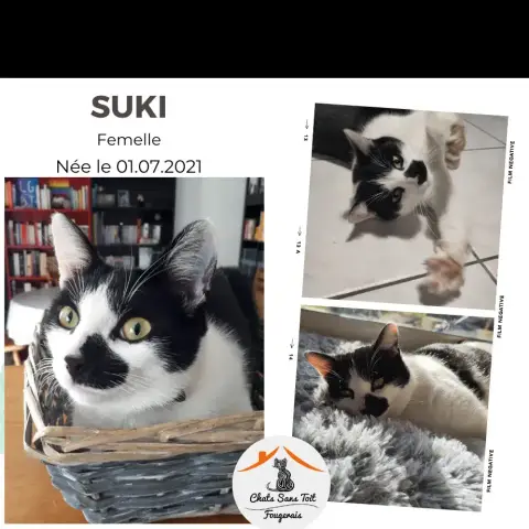 Suki