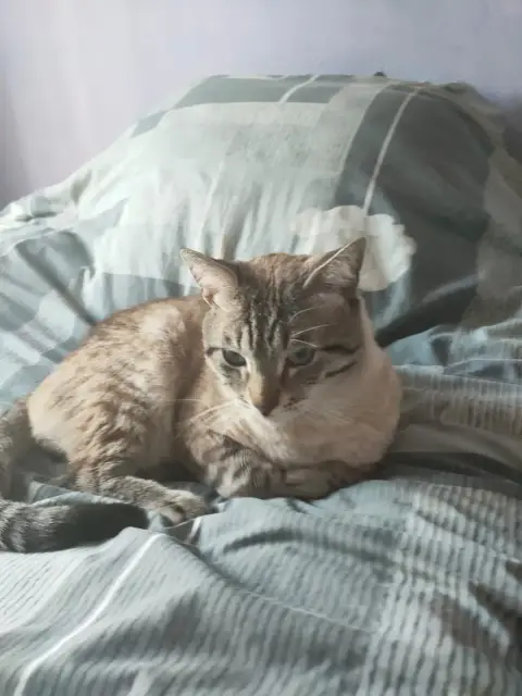 Oskar photo 3