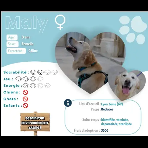 Maly